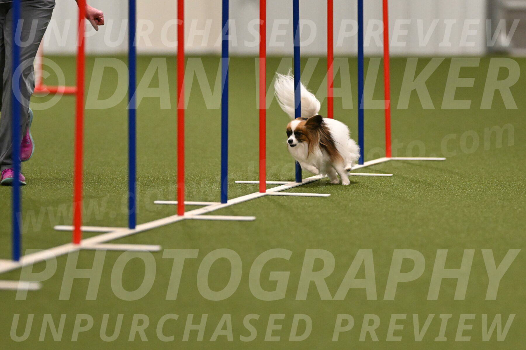 Mazie-Melinda-Sanford-05823