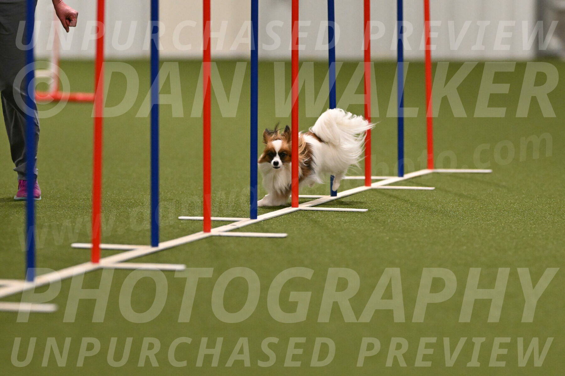 Mazie-Melinda-Sanford-05824