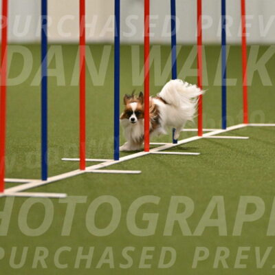 Mazie-Melinda-Sanford-05824