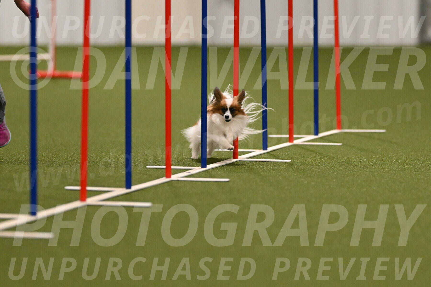 Mazie-Melinda-Sanford-05825