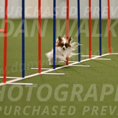 Mazie-Melinda-Sanford-05825