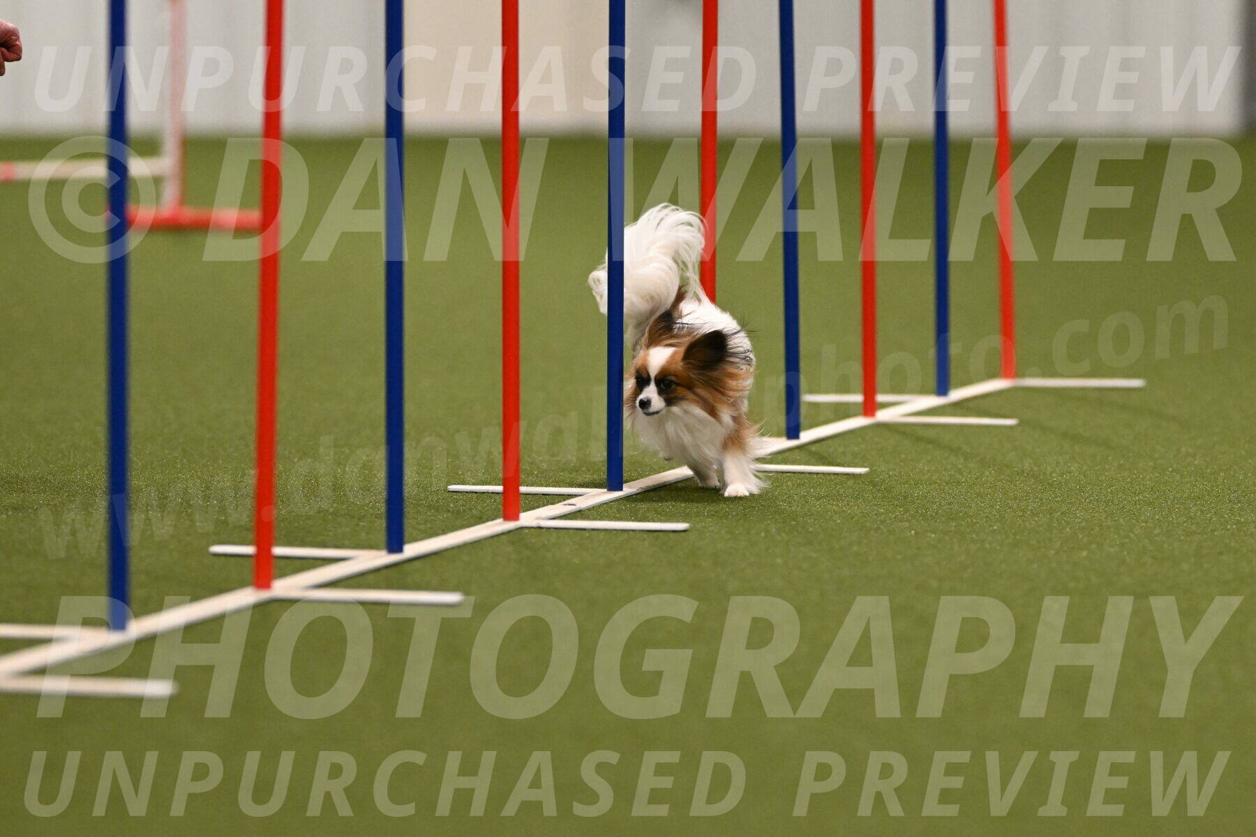 Mazie-Melinda-Sanford-05826