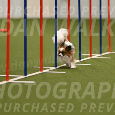Mazie-Melinda-Sanford-05826