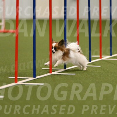 Mazie-Melinda-Sanford-05827