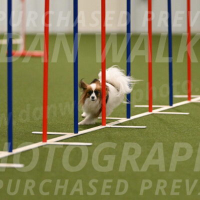 Mazie-Melinda-Sanford-05828