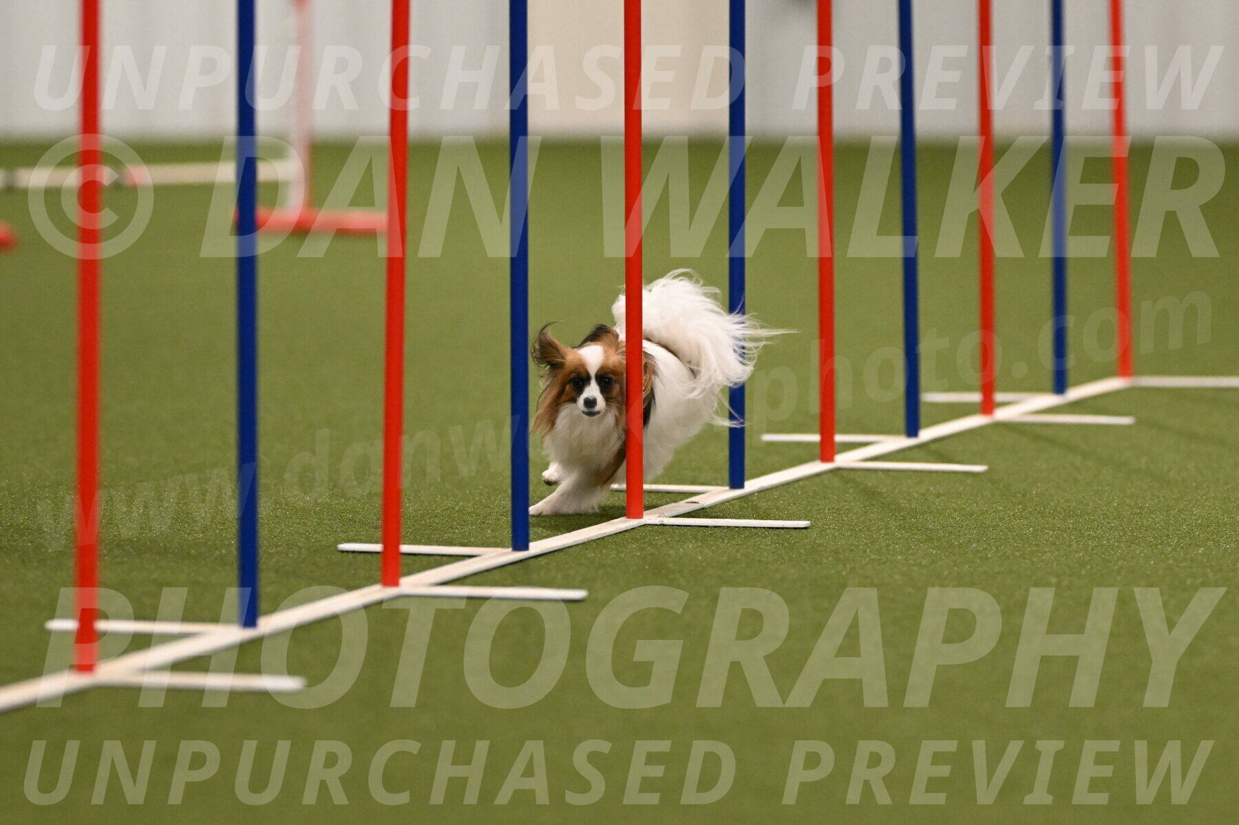 Mazie-Melinda-Sanford-05828