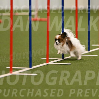 Mazie-Melinda-Sanford-05829