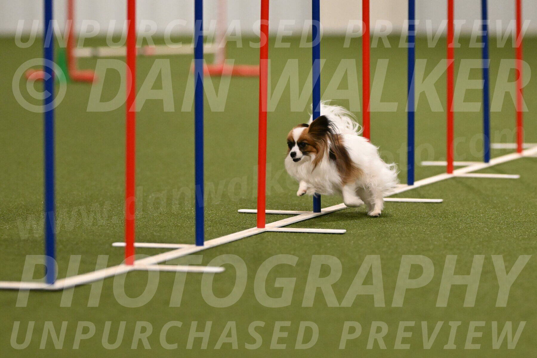 Mazie-Melinda-Sanford-05829