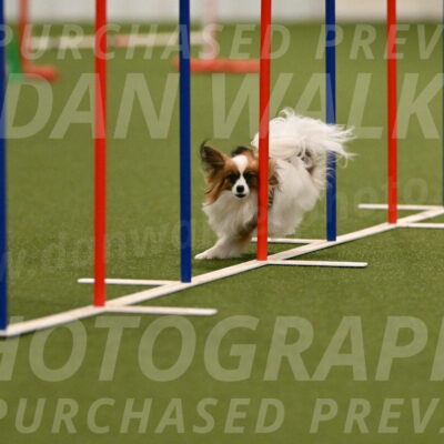 Mazie-Melinda-Sanford-05830