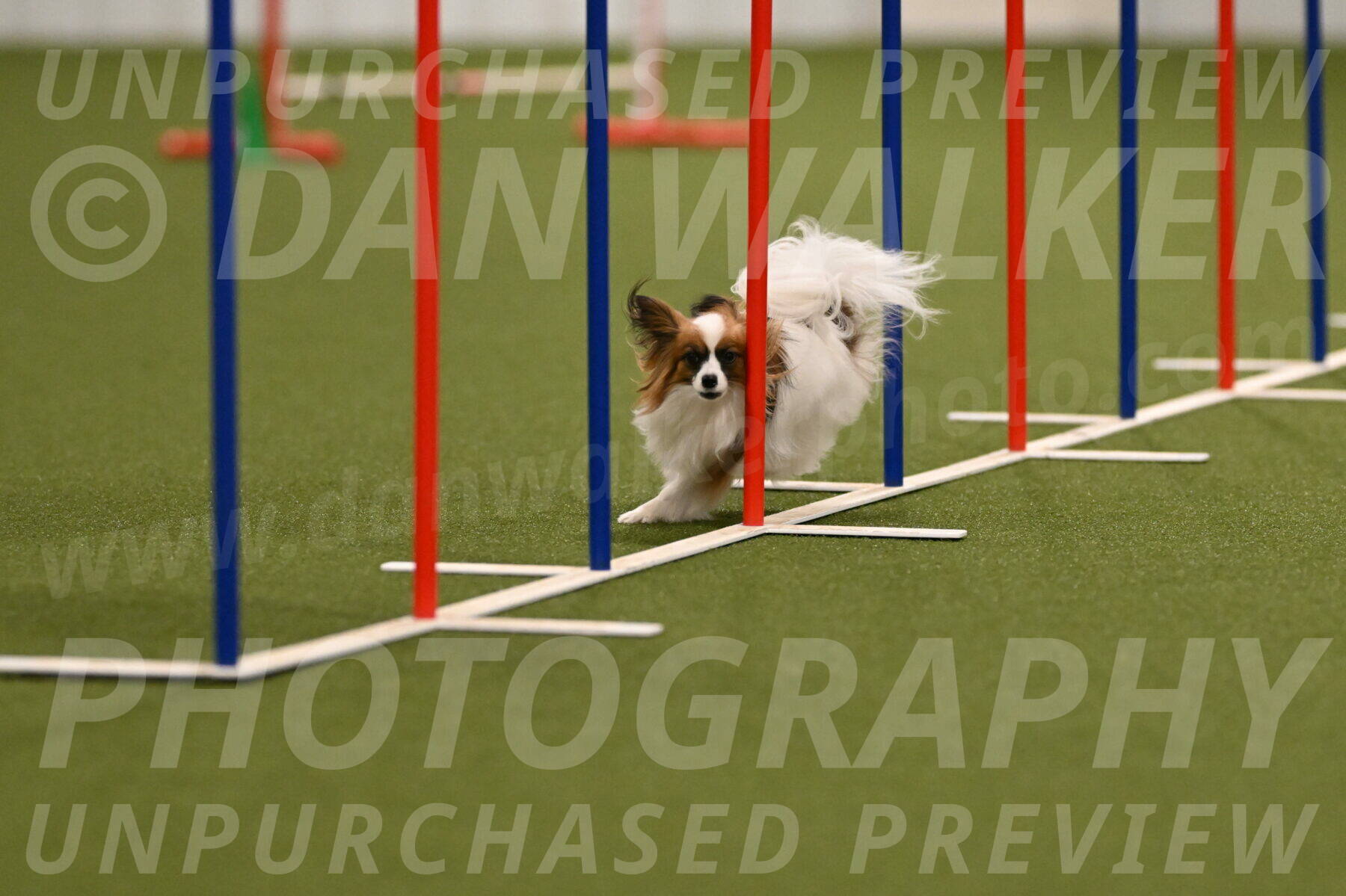 Mazie-Melinda-Sanford-05830