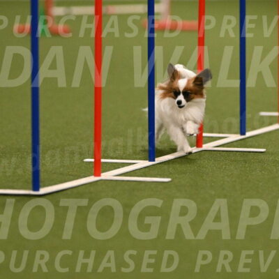 Mazie-Melinda-Sanford-05831