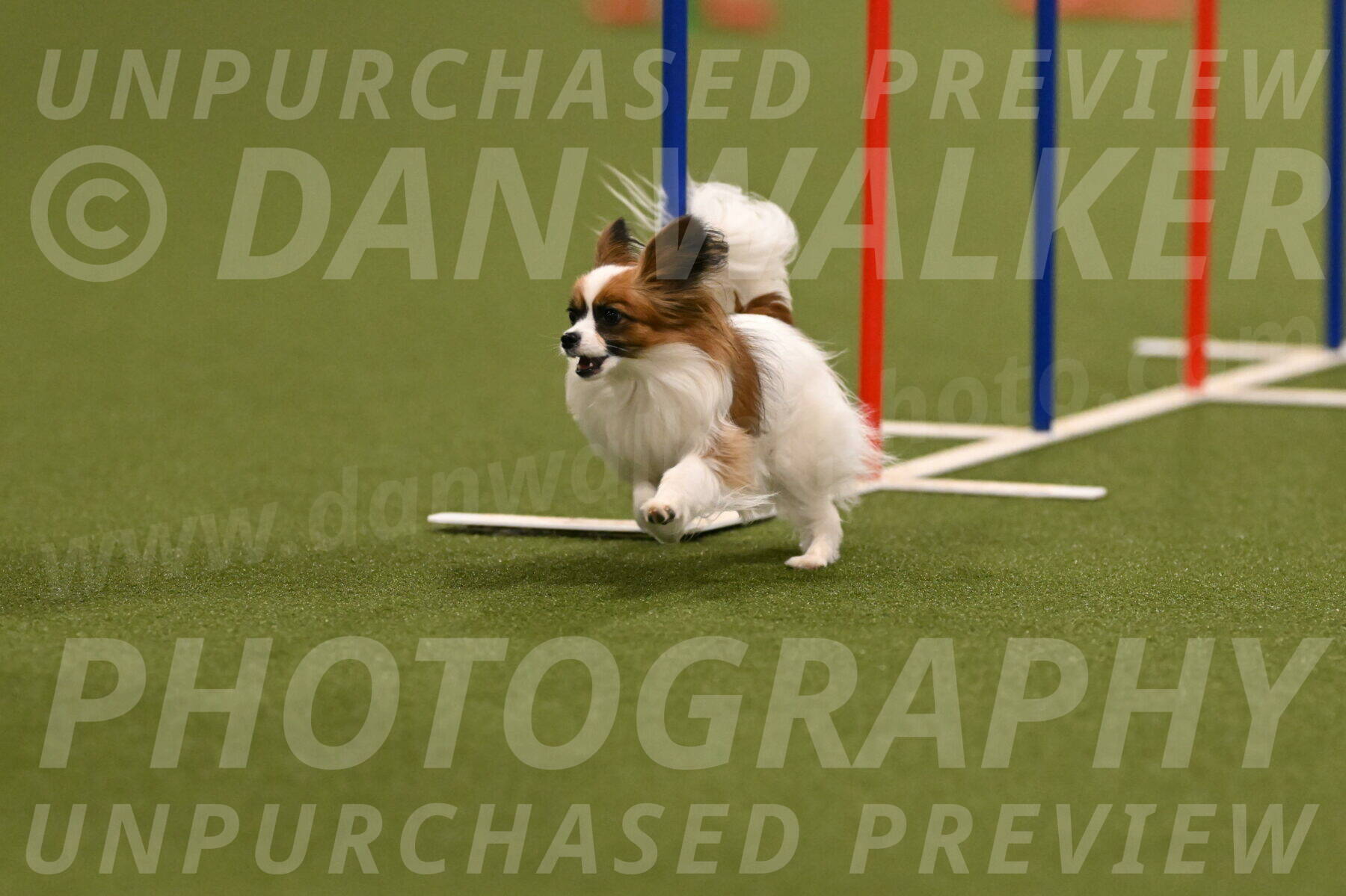 Mazie-Melinda-Sanford-05833