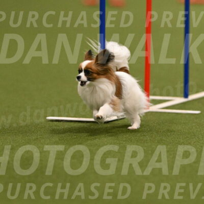 Mazie-Melinda-Sanford-05833