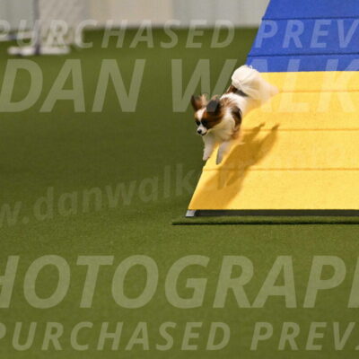 Mazie-Melinda-Sanford-05834