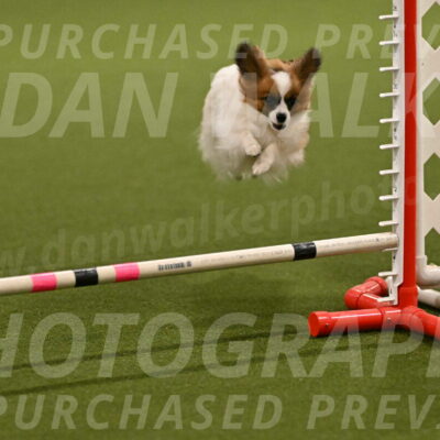 Mazie-Melinda-Sanford-05835