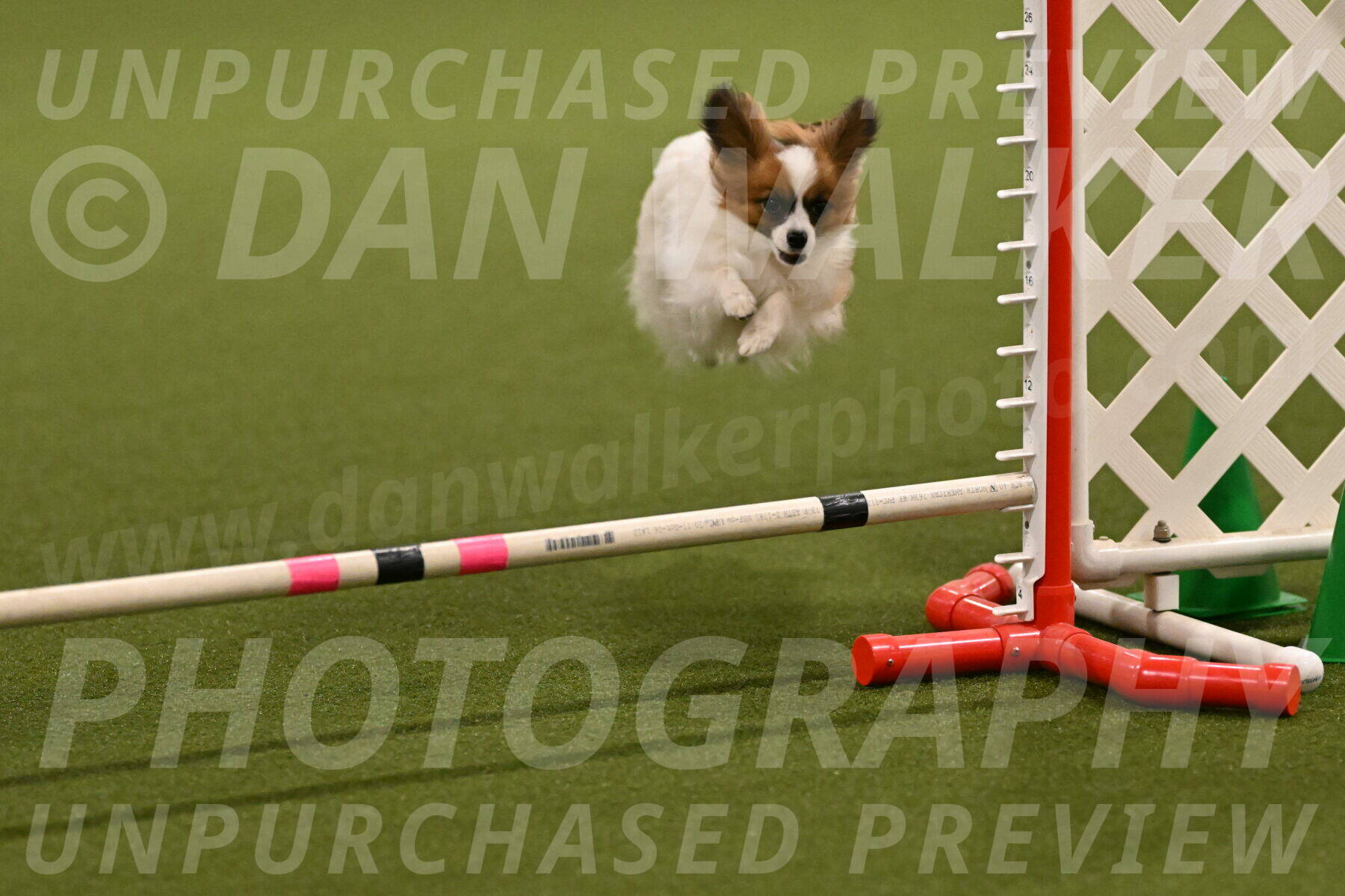 Mazie-Melinda-Sanford-05835