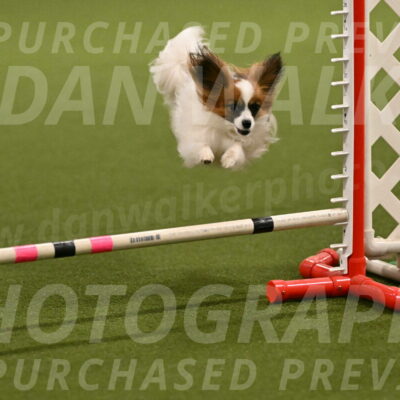 Mazie-Melinda-Sanford-05836