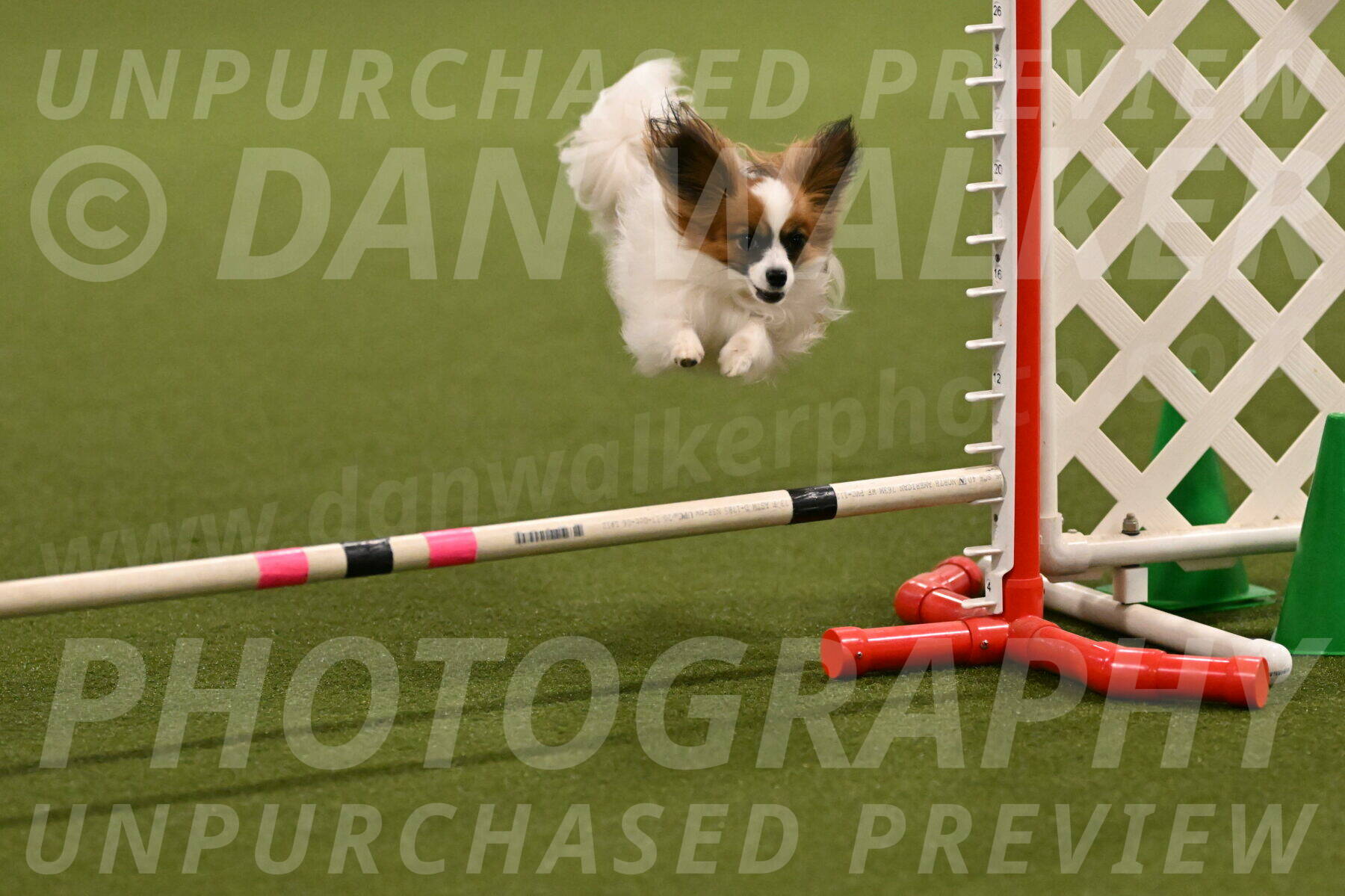 Mazie-Melinda-Sanford-05836