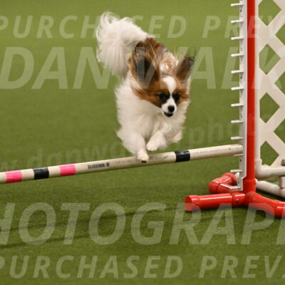 Mazie-Melinda-Sanford-05837