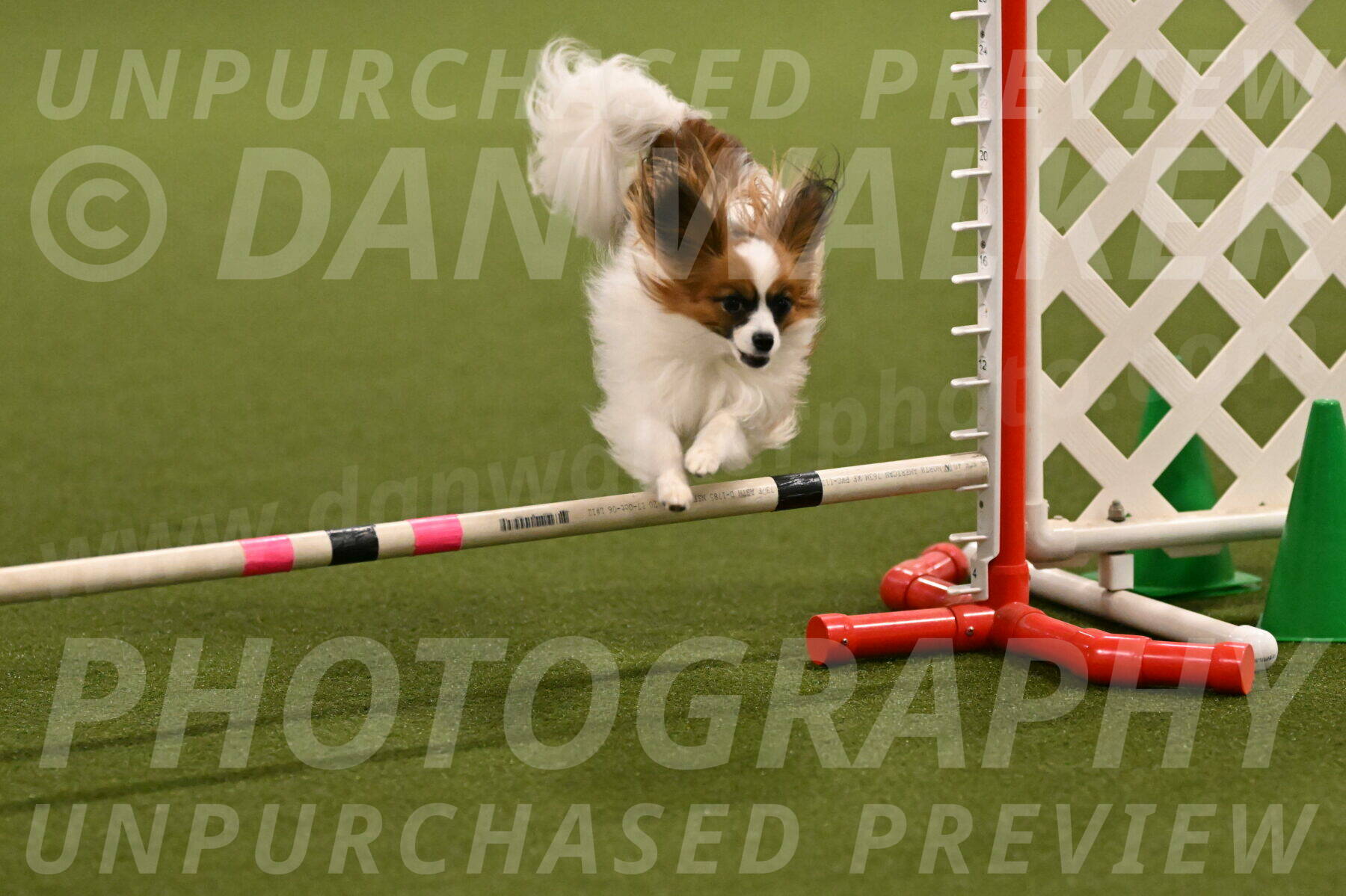 Mazie-Melinda-Sanford-05837