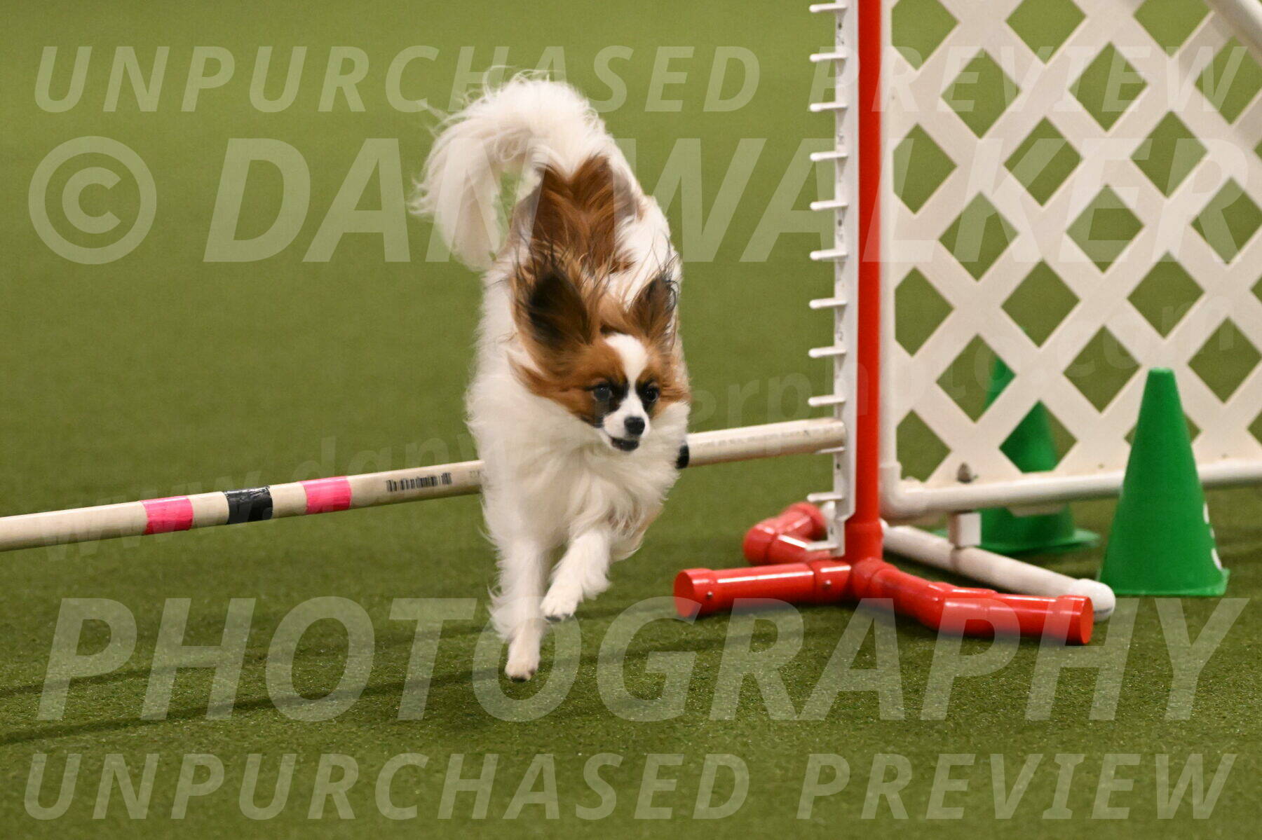 Mazie-Melinda-Sanford-05838
