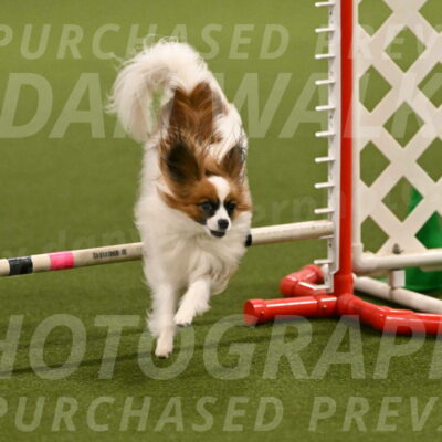 Mazie-Melinda-Sanford-05838