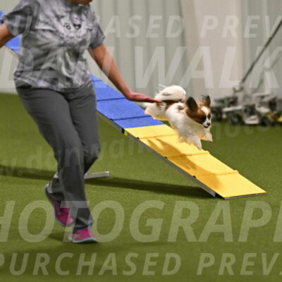 Mazie-Melinda-Sanford-05839