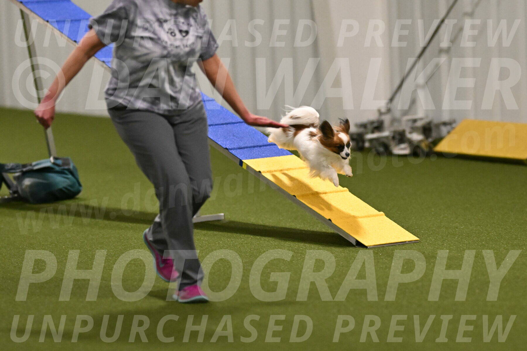 Mazie-Melinda-Sanford-05839