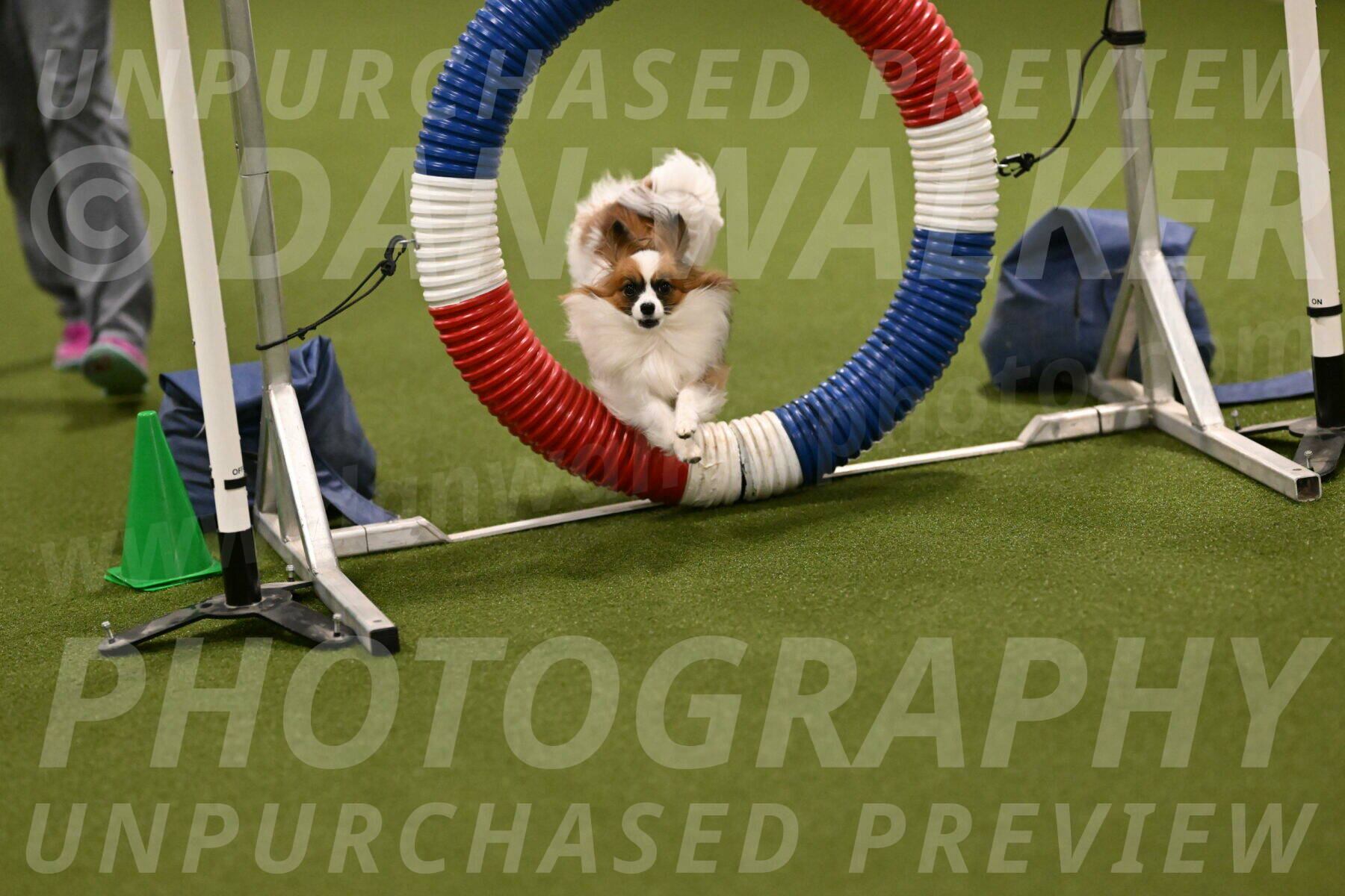 Mazie-Melinda-Sanford-05840