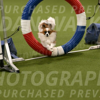 Mazie-Melinda-Sanford-05840
