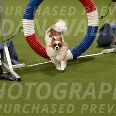 Mazie-Melinda-Sanford-05841