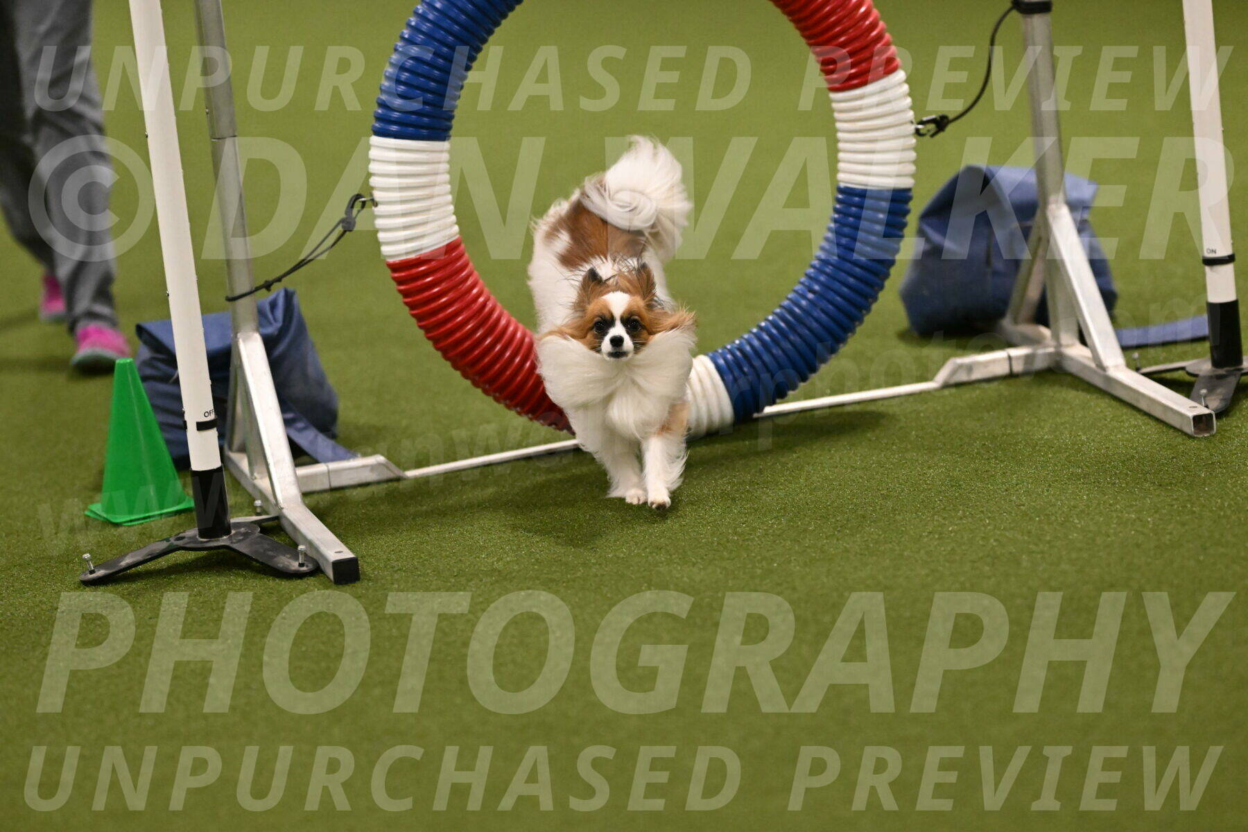 Mazie-Melinda-Sanford-05841