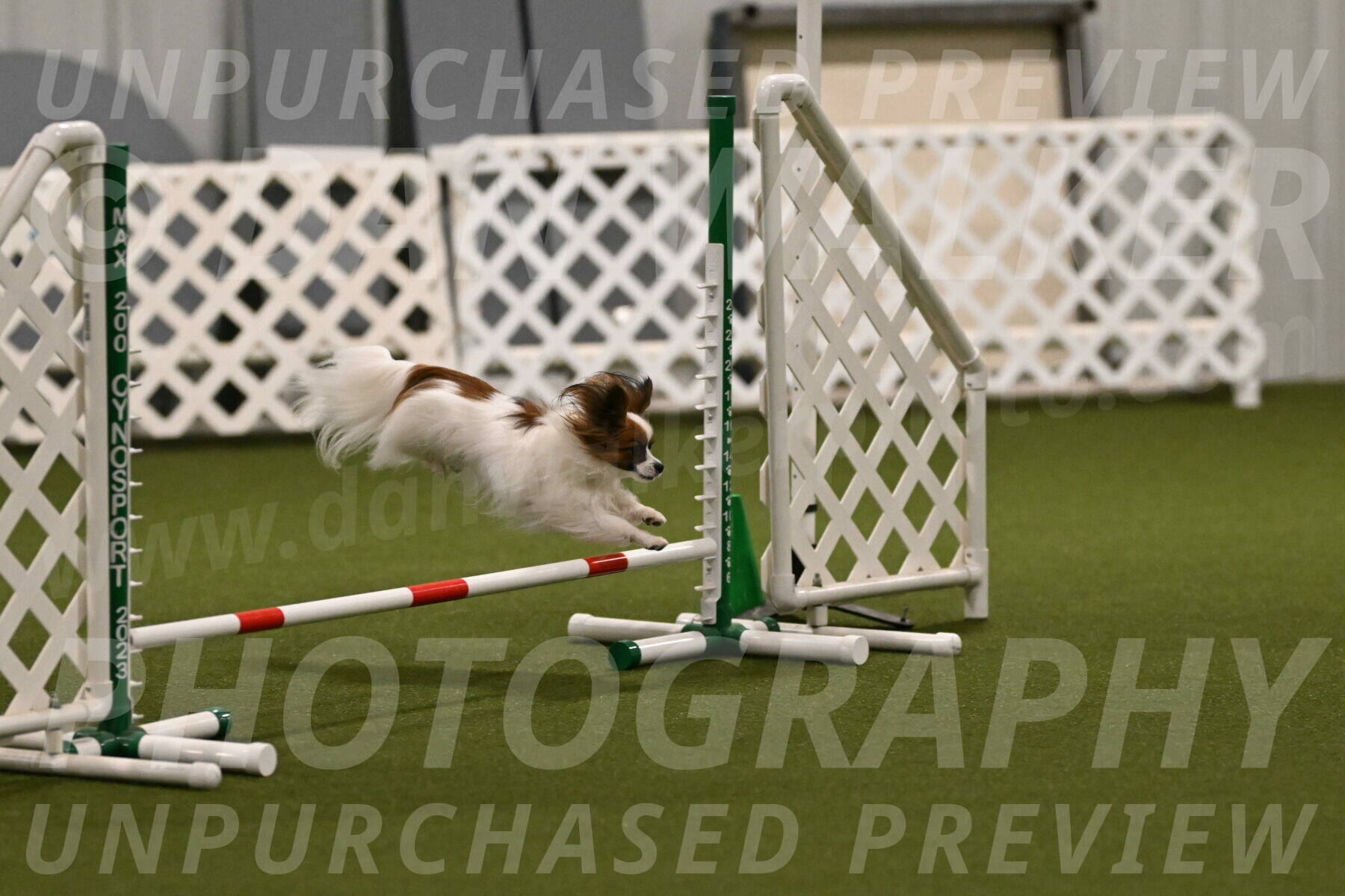Mazie-Melinda-Sanford-05842
