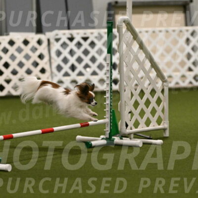 Mazie-Melinda-Sanford-05842