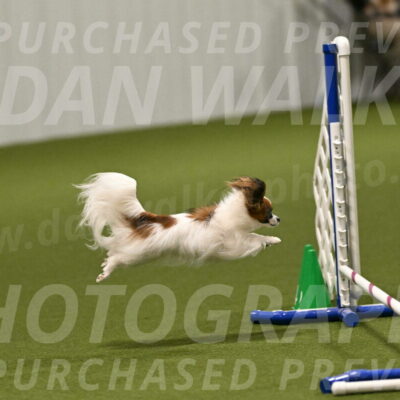 Mazie-Melinda-Sanford-05844