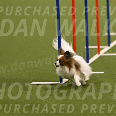 Mazie-Melinda-Sanford-05857