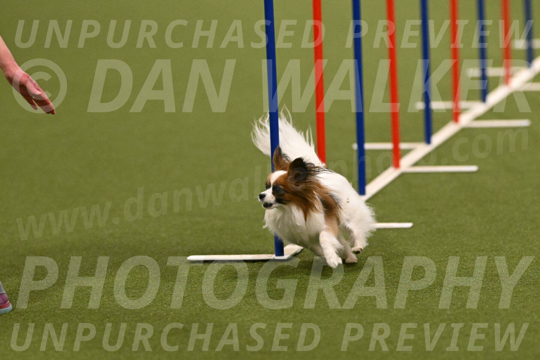 Mazie-Melinda-Sanford-05857