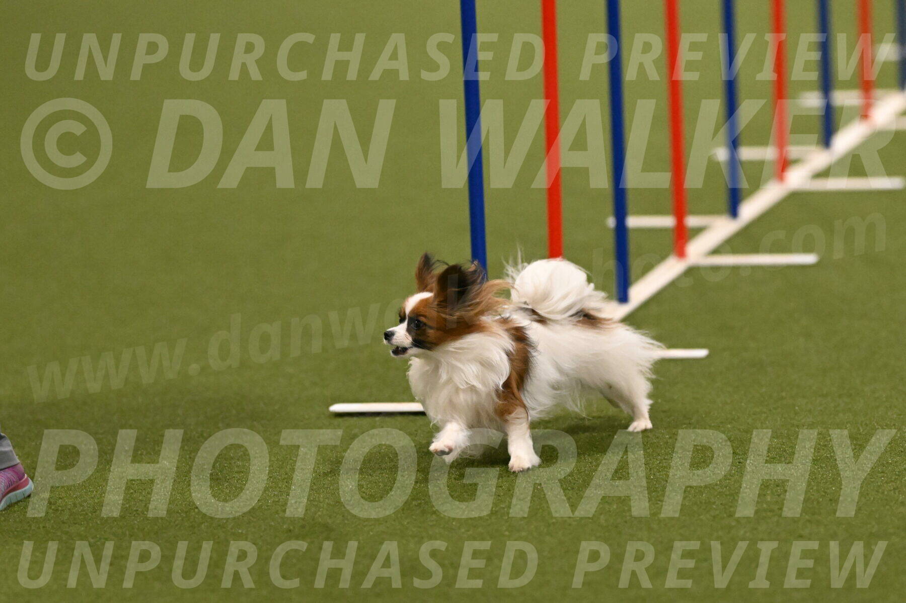Mazie-Melinda-Sanford-05858