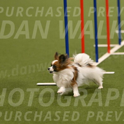 Mazie-Melinda-Sanford-05858