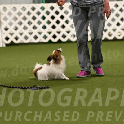 Mazie-Melinda-Sanford-05860