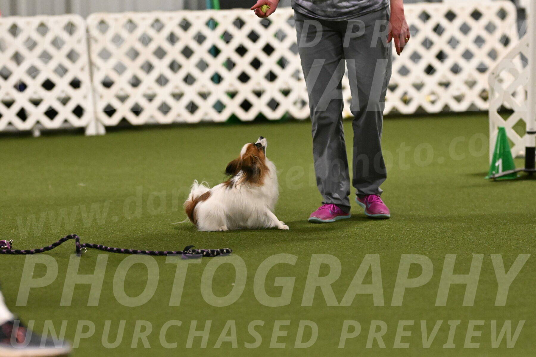 Mazie-Melinda-Sanford-05860