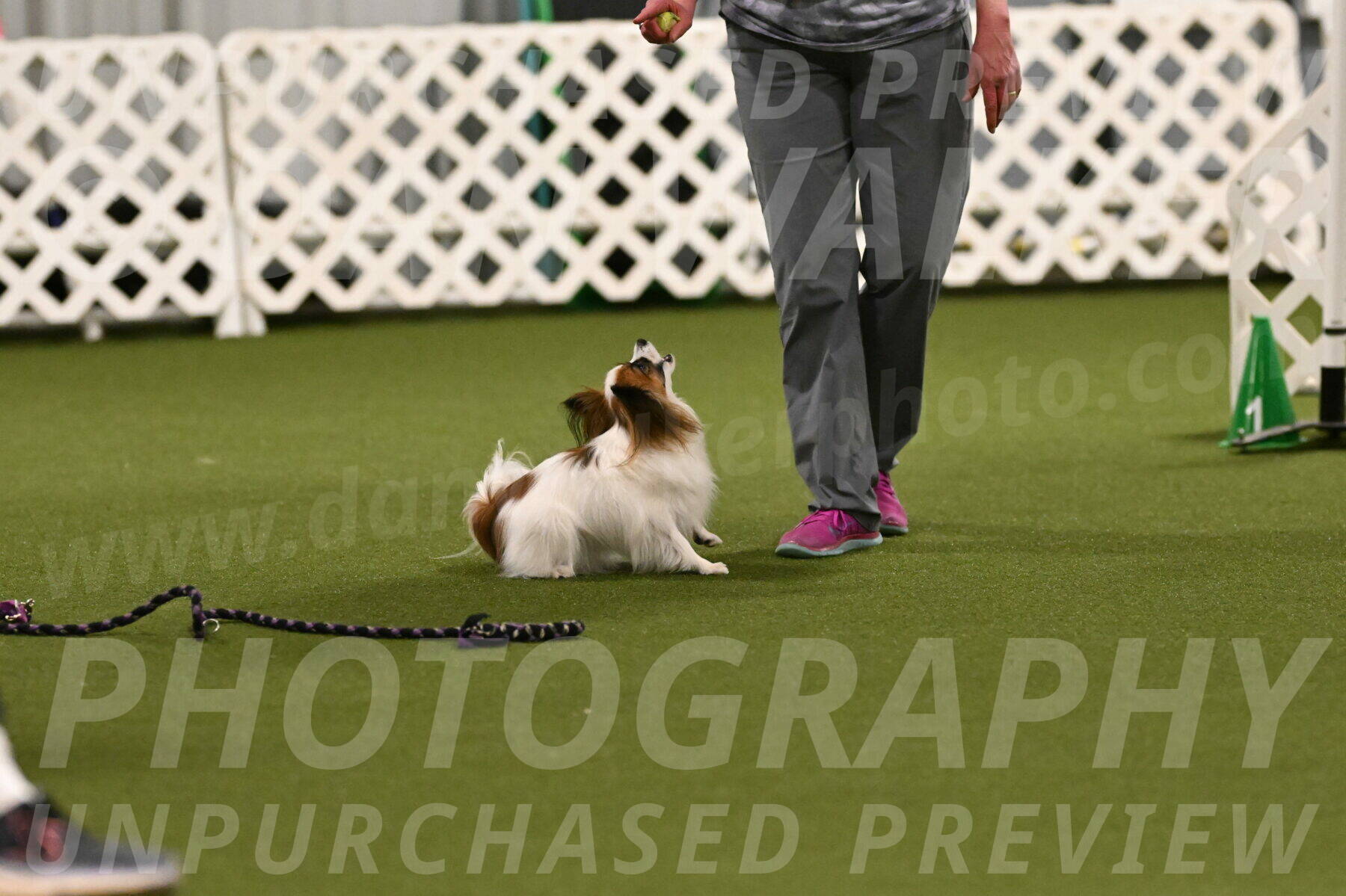 Mazie-Melinda-Sanford-05861