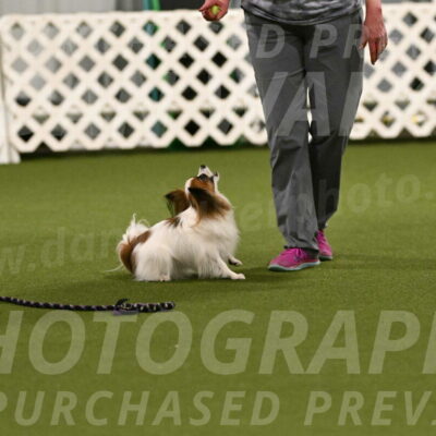 Mazie-Melinda-Sanford-05861