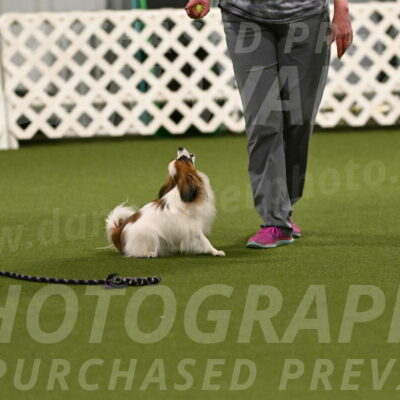 Mazie-Melinda-Sanford-05862