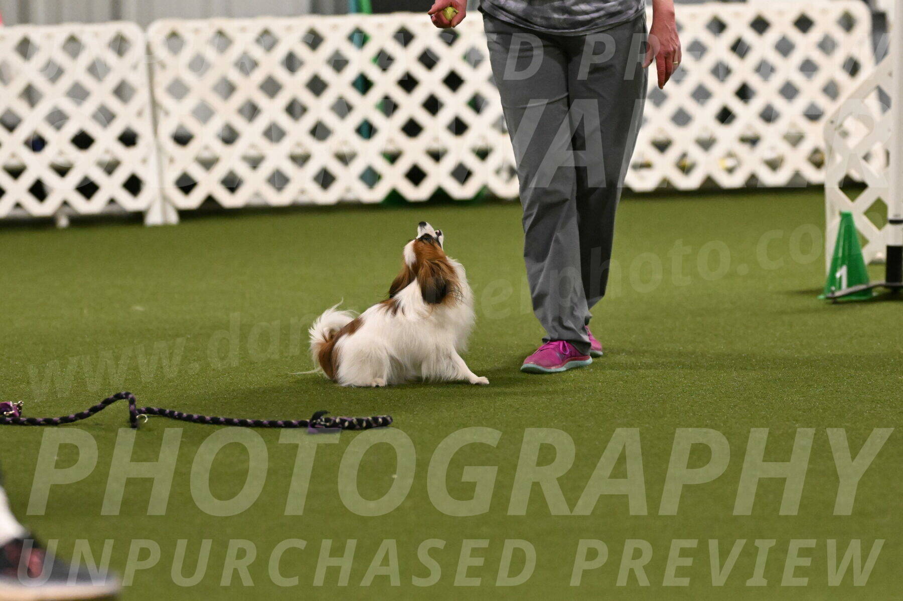 Mazie-Melinda-Sanford-05862