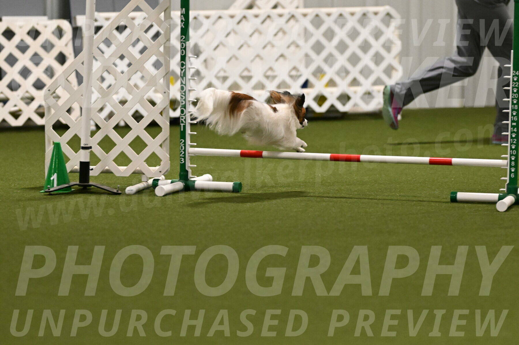 Mazie-Melinda-Sanford-05863