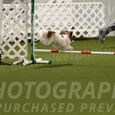 Mazie-Melinda-Sanford-05863