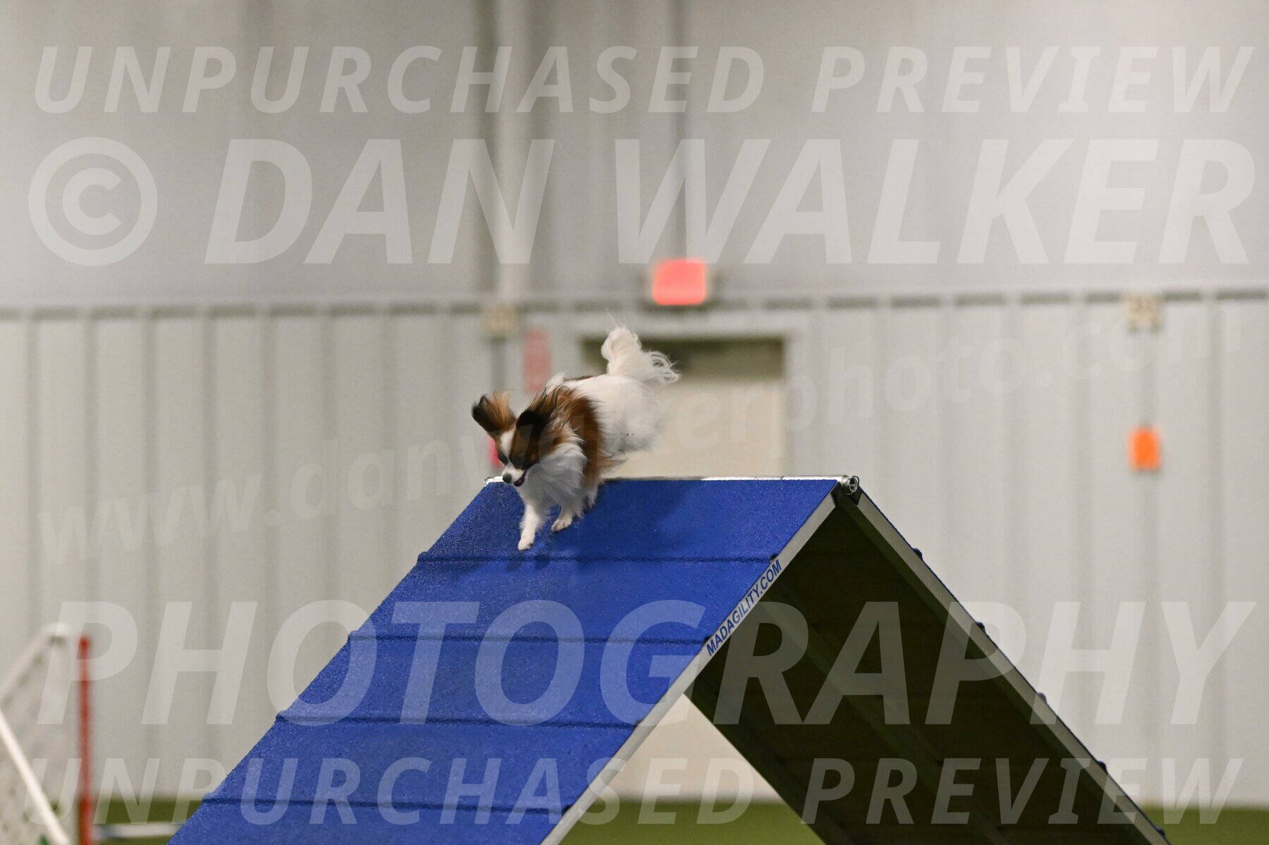 Mazie-Melinda-Sanford-05865