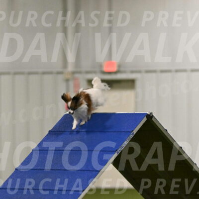 Mazie-Melinda-Sanford-05865