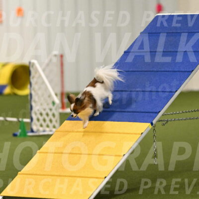 Mazie-Melinda-Sanford-05866
